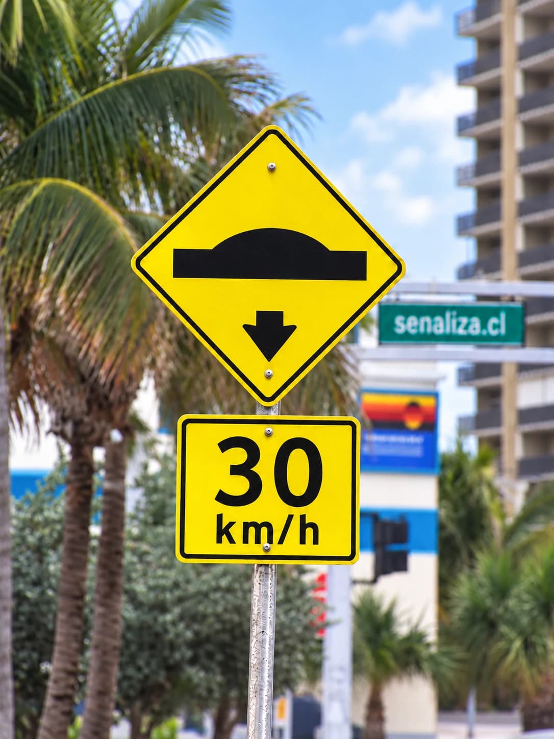 Señal amarilla de resalto con placa de velocidad máxima 30 km/h, junto a una avenida con palmeras